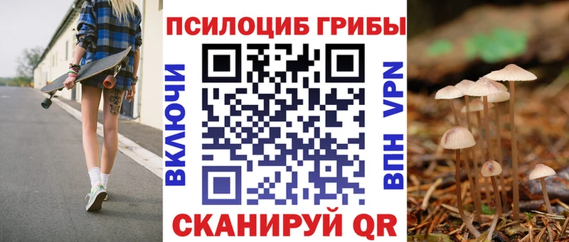 Галлюциногенные грибы GOLDEN TEACHER  купить наркотики сайты  Ленинск-Кузнецкий 